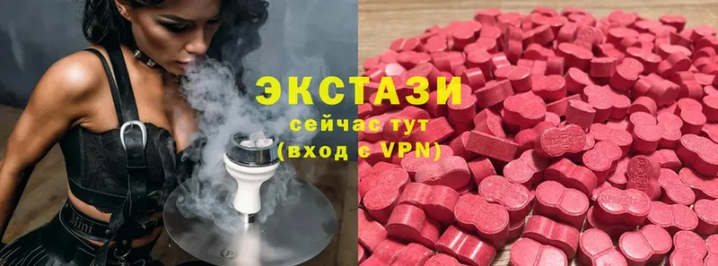 Ecstasy Philipp Plein  где продают наркотики  Выборг 