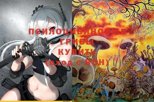 мяу мяу мука Новозыбков
