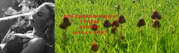 марки lsd Новокубанск
