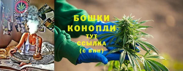 мяу мяу мука Новозыбков