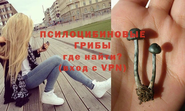 трава Нягань