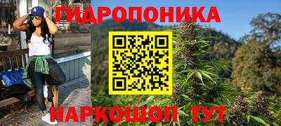 прущие крисы Абакан