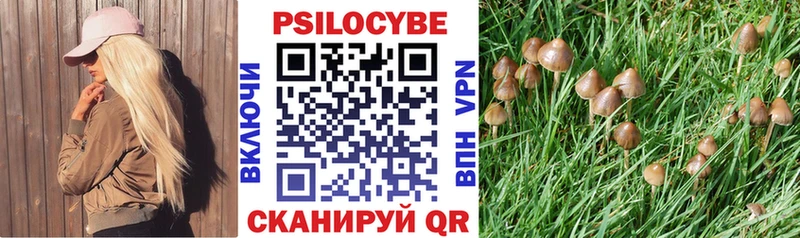 Псилоцибиновые грибы мухоморы  kraken ссылки  Выборг 